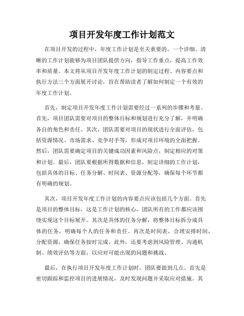项目开发年度工作计划范文