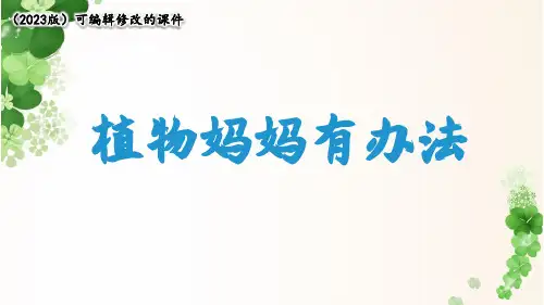 3 植物妈妈有办法 课件(共26张PPT)