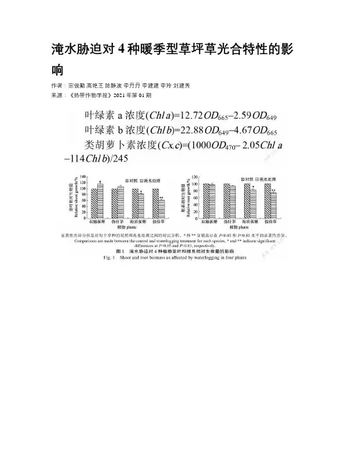 淹水胁迫对4种暖季型草坪草光合特性的影响 