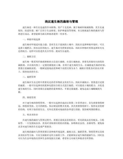 浅议速生杨的栽培与管理