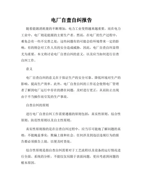 电厂自查自纠报告