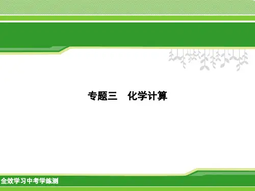 化学计算PPT课件(初中科学)