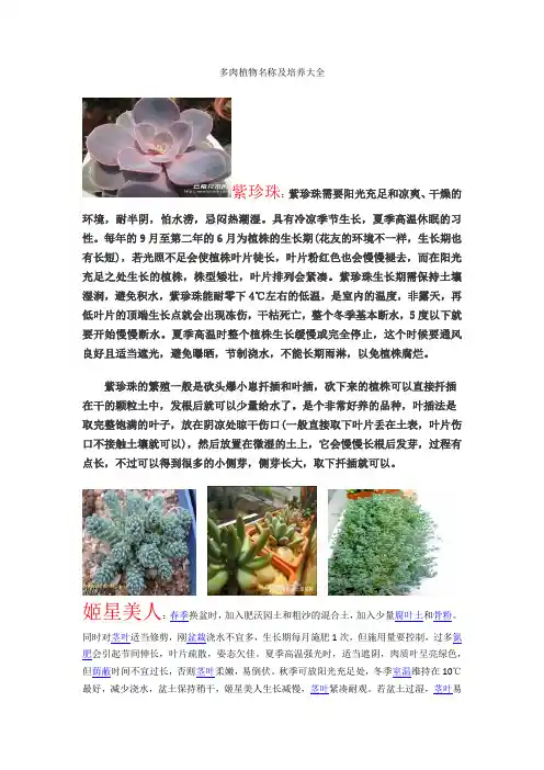 多肉植物名称及培养大全