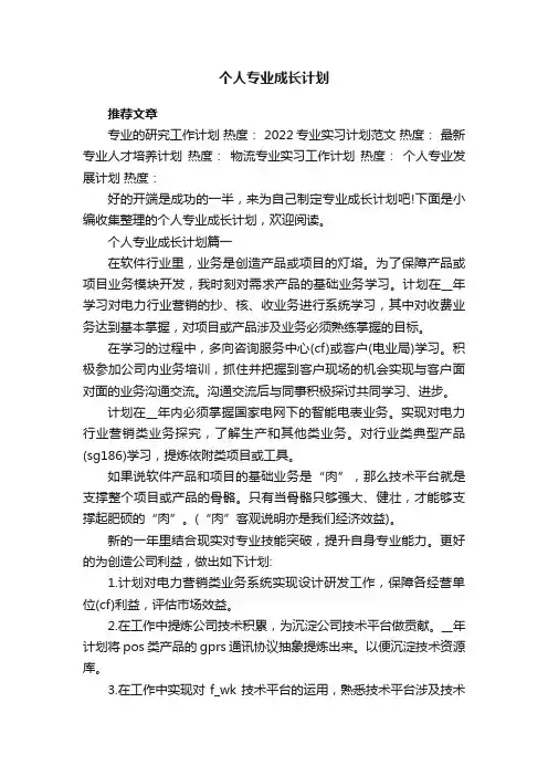 个人专业成长计划