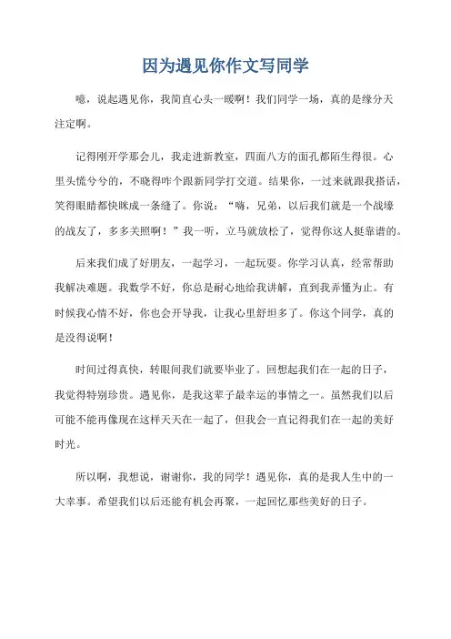 因为遇见你作文写同学