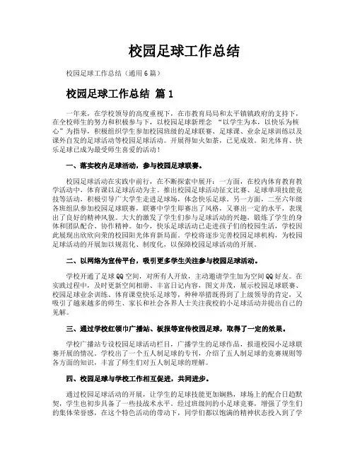 校园足球工作总结