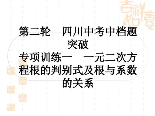 中考数学 中档题突破 专项训练一 一元二次方程根的判别式及根与系数的关系