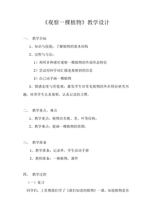 教科2017课标版科学一年级上册《植物 2 观察一棵植物》优质课教学设计_14