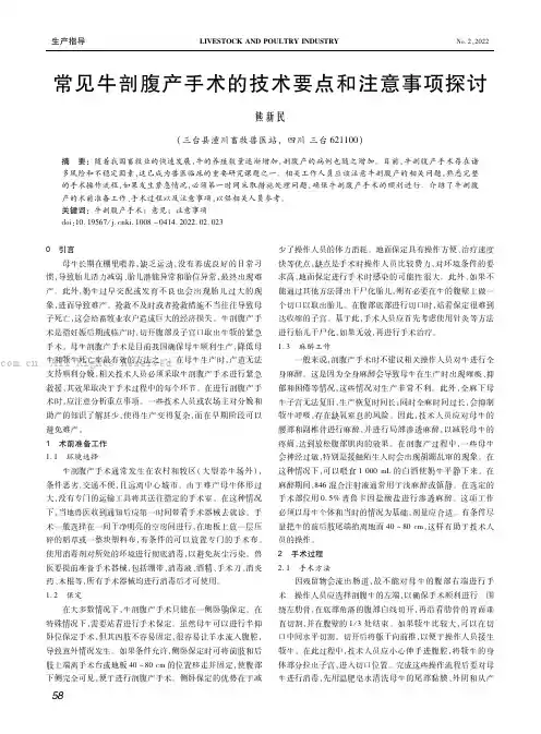 常见牛剖腹产手术的技术要点和注意事项探讨