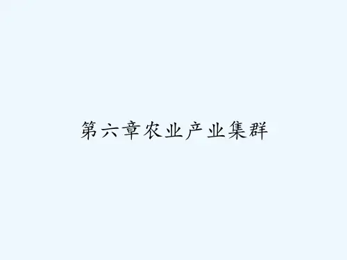 第六章农业产业集群 PPT