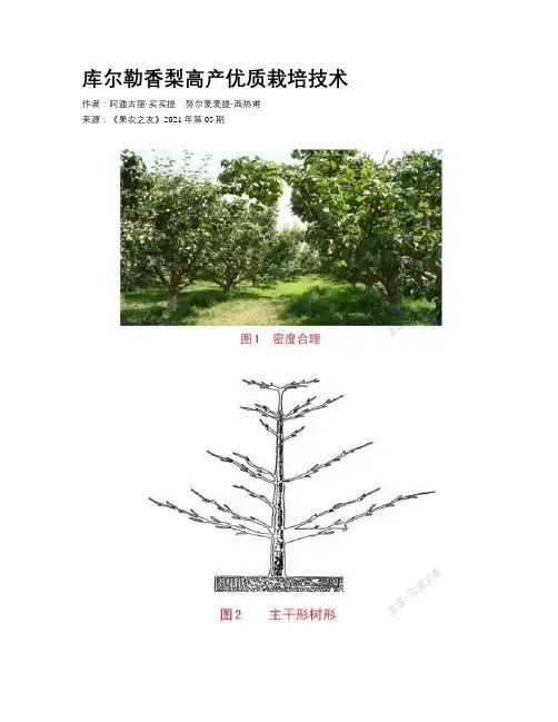 库尔勒香梨高产优质栽培技术