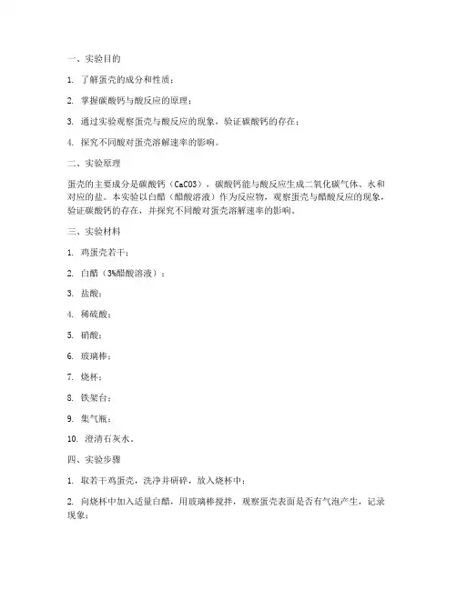 关于蛋壳的实验报告