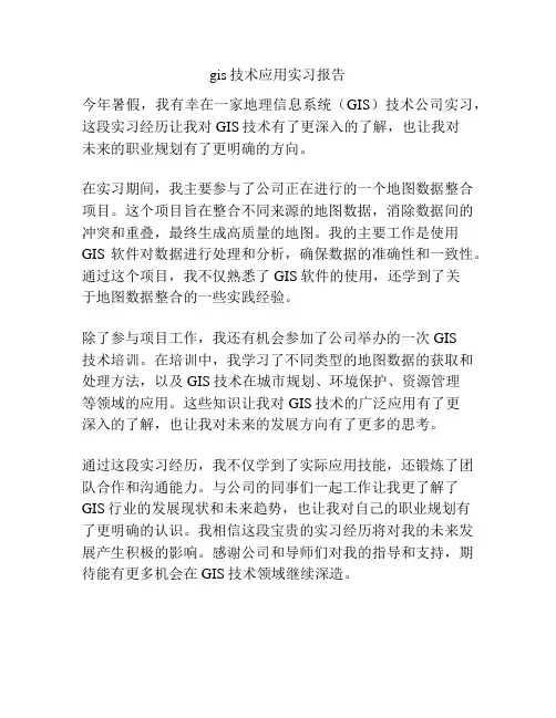 gis技术应用实习报告