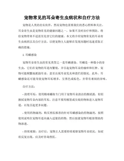 宠物常见的耳朵寄生虫病状和自疗方法