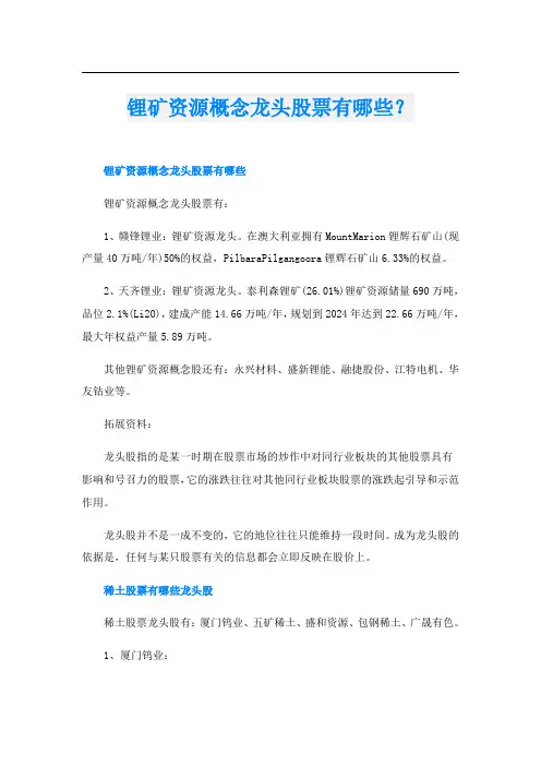 锂矿资源概念龙头股票有哪些？