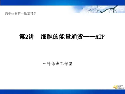 ATP一轮复习课