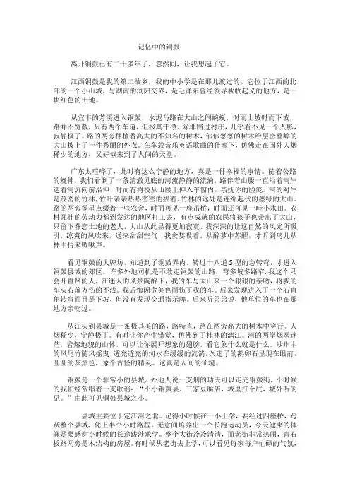 记忆中的铜鼓