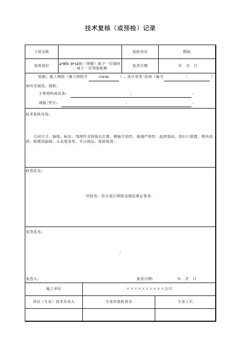 技术复核(或预检)记录