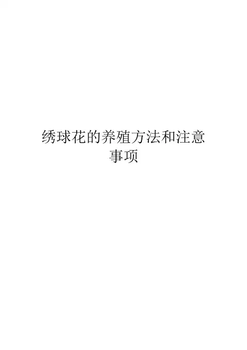 绣球花的养殖方法和注意事项