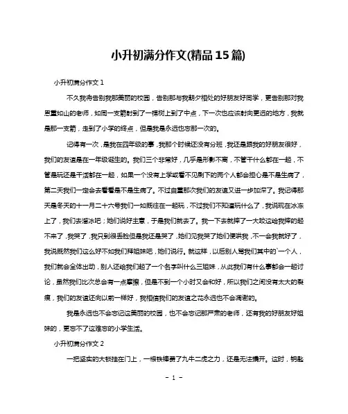 小升初满分作文(精品15篇)