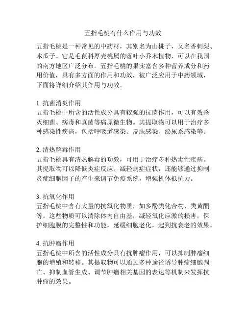 五指毛桃有什么作用与功效