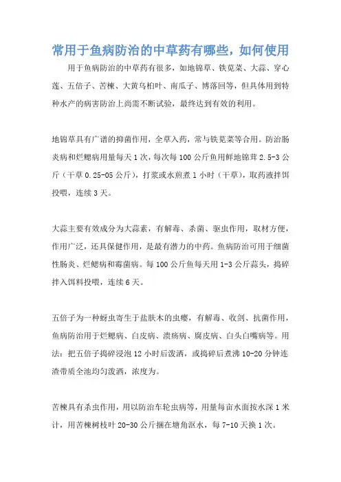 常用于鱼病防治的中草药有哪些,如何使用