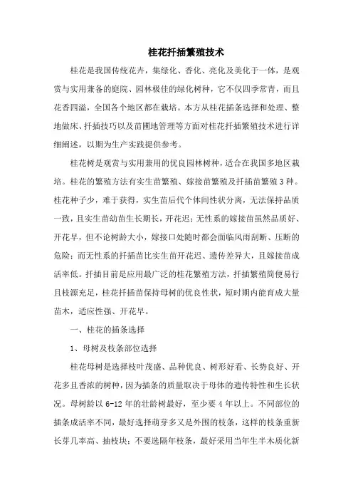 桂花扦插繁殖技术