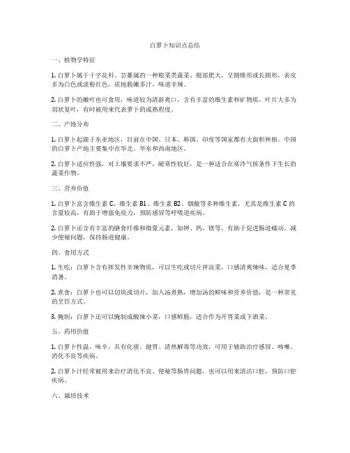 白萝卜知识点总结
