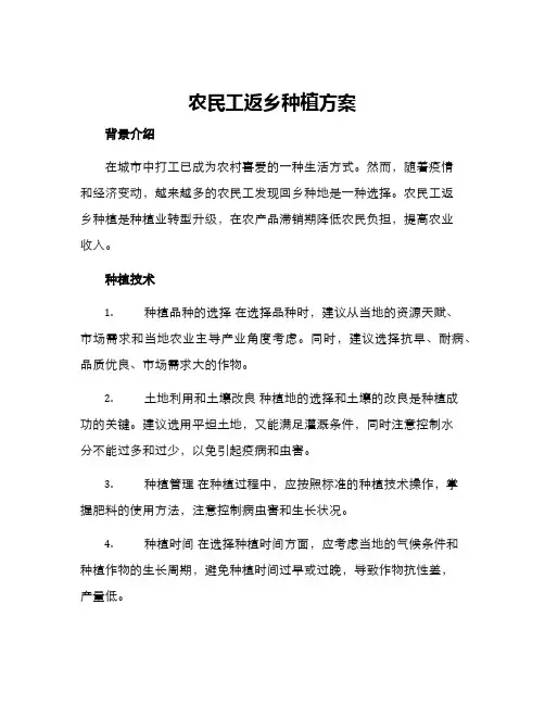 农民工返乡种植方案