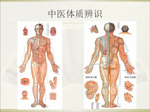 中医药健康知识讲座讲义