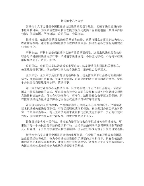 新法治十六字方针的内容