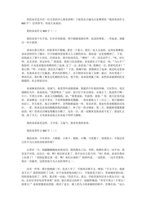 我的弟弟作文600字