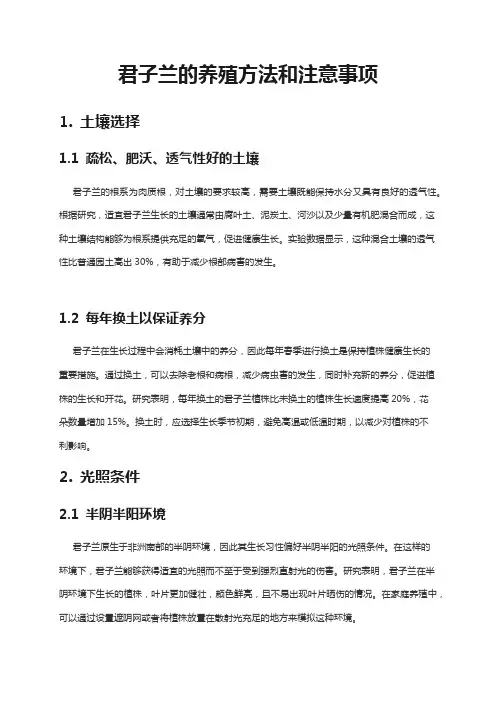 君子兰的养殖方法和注意事项