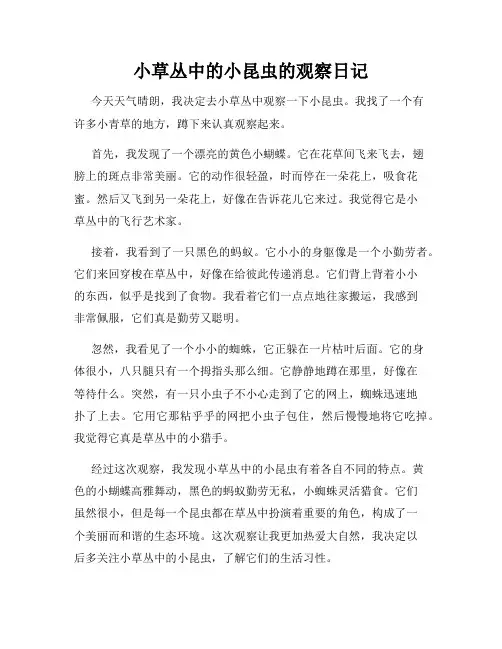 小学三年级作文小草丛中的小昆虫的观察日记