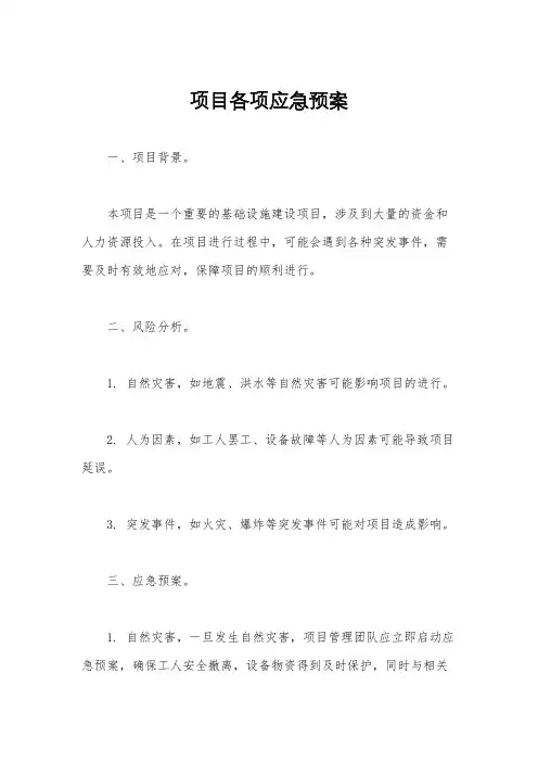项目各项应急预案