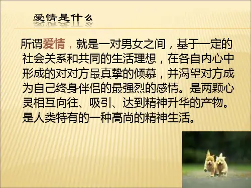 爱情是什么ppt课件