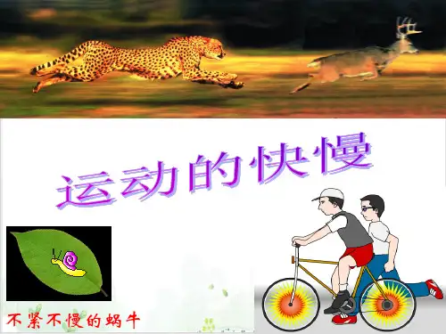 [人教版]《运动的快慢》公开课课件2