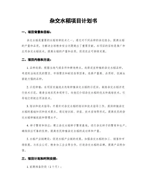 杂交水稻项目计划书