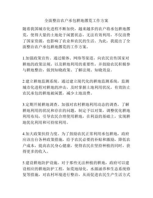 全面整治农户承包耕地撂荒工作方案