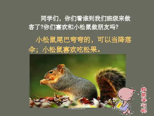 人教版一年级语文下册《松鼠和松果》PPT课件