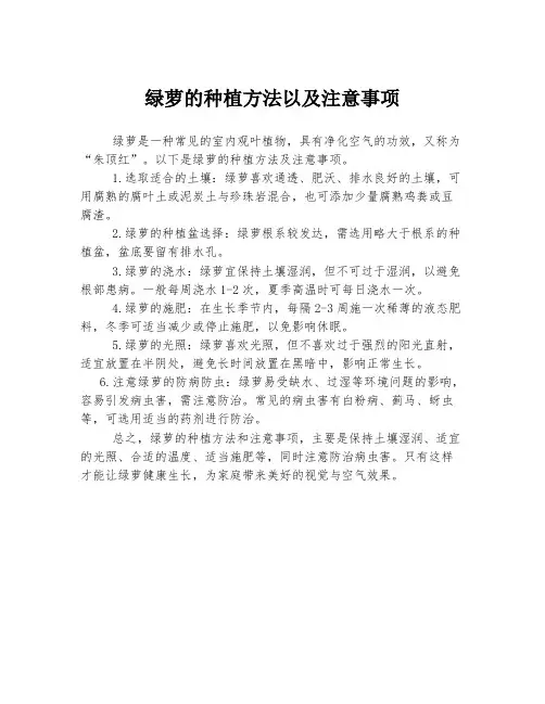 绿萝的种植方法以及注意事项