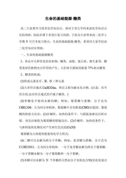 生命的基础能源-糖类.doc