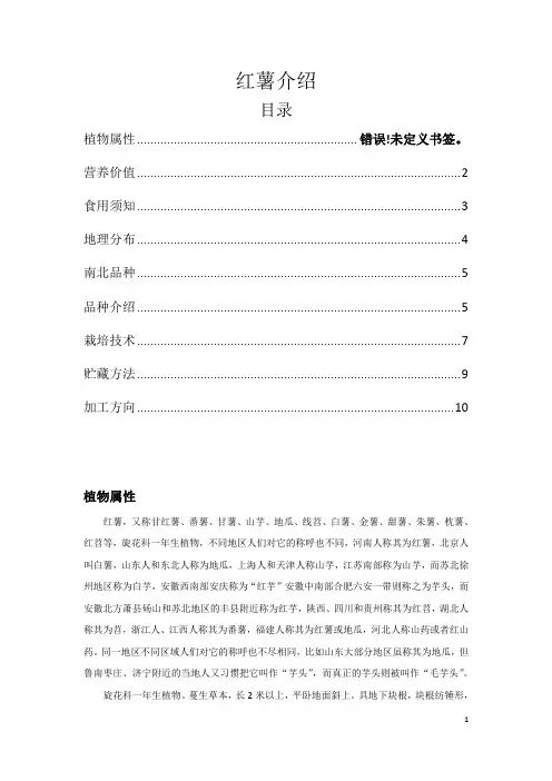 红薯介绍