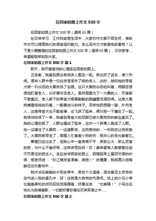 在回家的路上作文500字