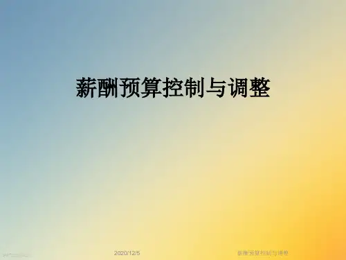 薪酬预算控制与调整