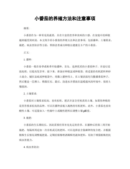 小番茄的养殖方法和注意事项