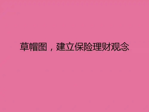 保险理念导入草帽图ppt课件