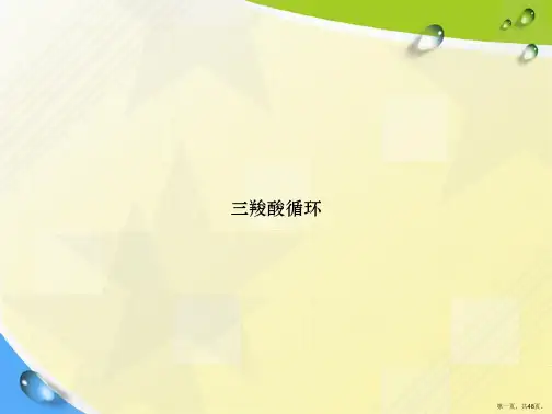 三羧酸循环讲课文档