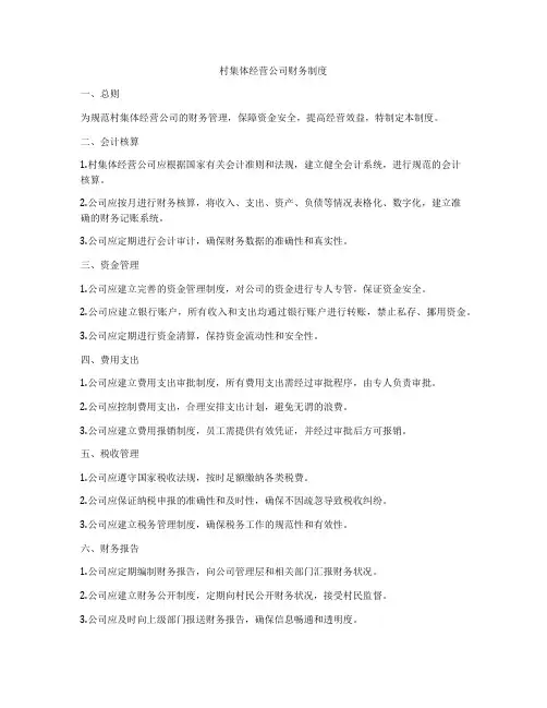 村集体经营公司财务制度