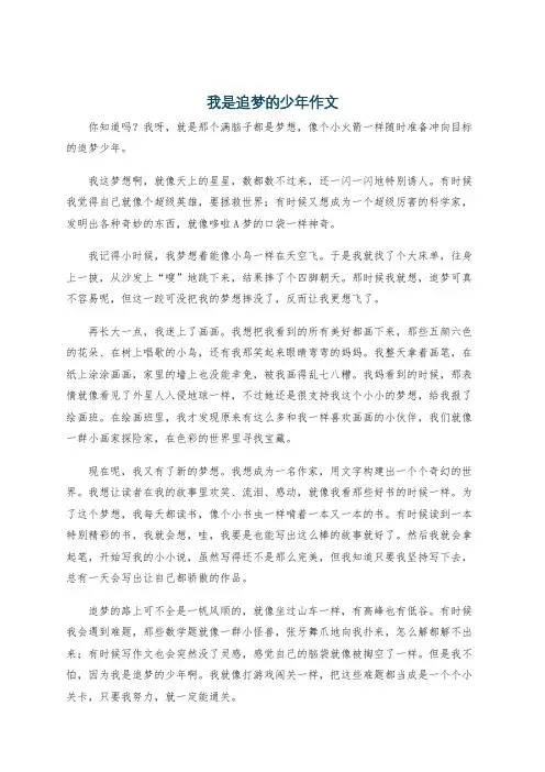 我是追梦的少年作文